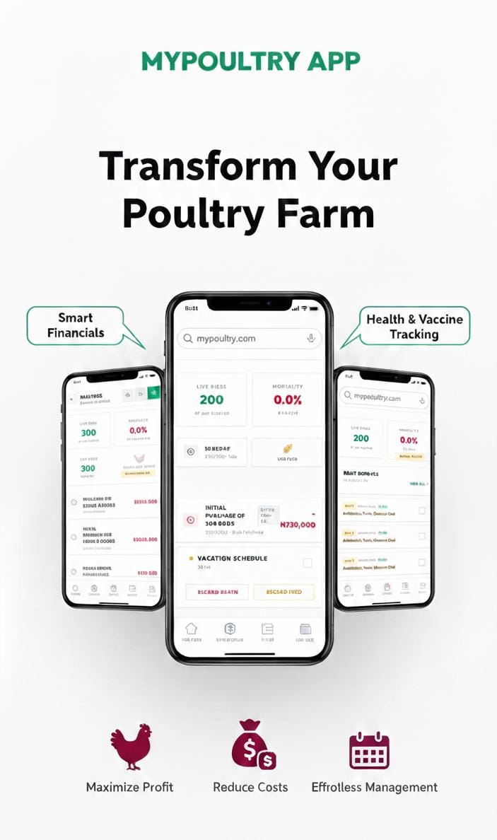 MyPoultry app: A digital age tool, true poultry farmers should adopt.